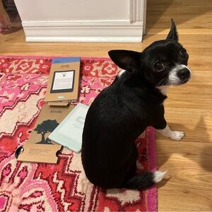 NWT Amazon Kindle Gen 11 | 16 GB - Matcha / Green Color